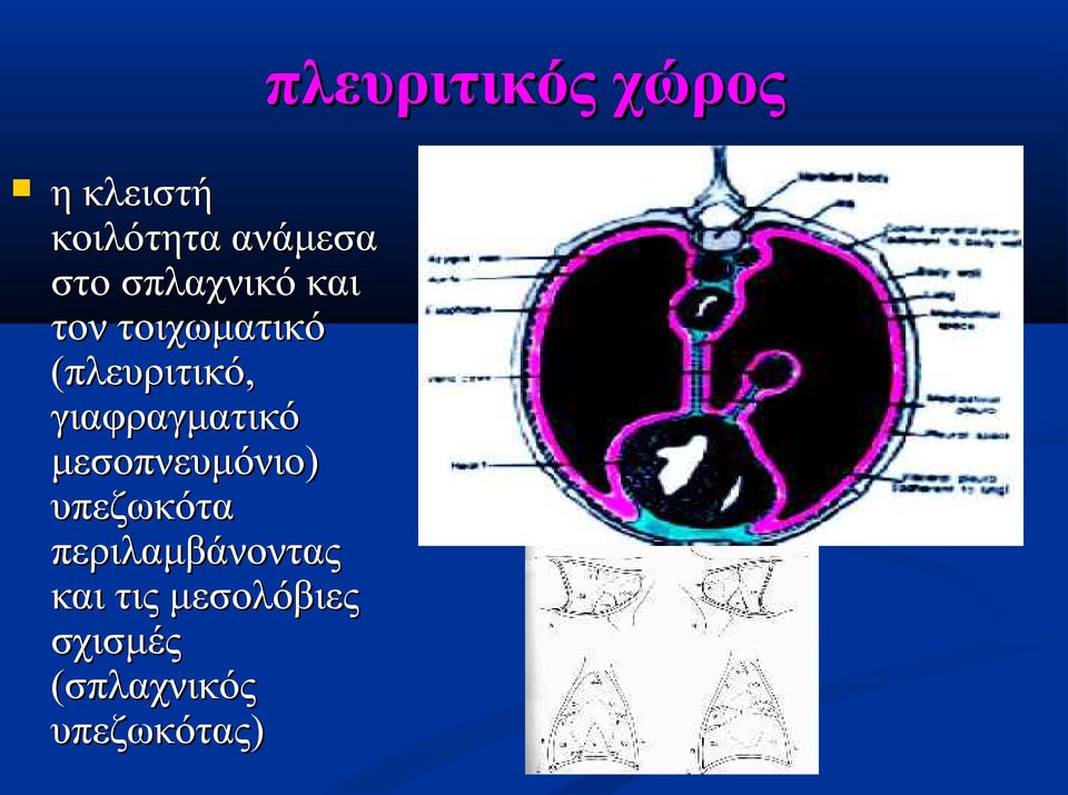 μεσοπνευμόνιο) υπεζωκότα περιλαμβάνοντας και τις