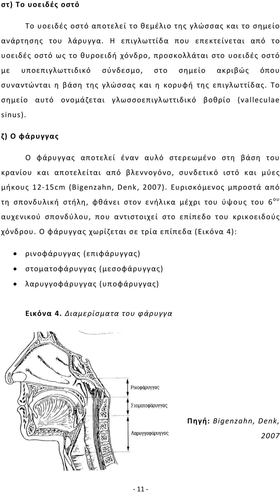 κορυφή της επιγλωττίδας. Το σημείο αυτό ονομάζεται γλωσσοεπιγλωττιδικό βοθρίο (valleculae sinus).