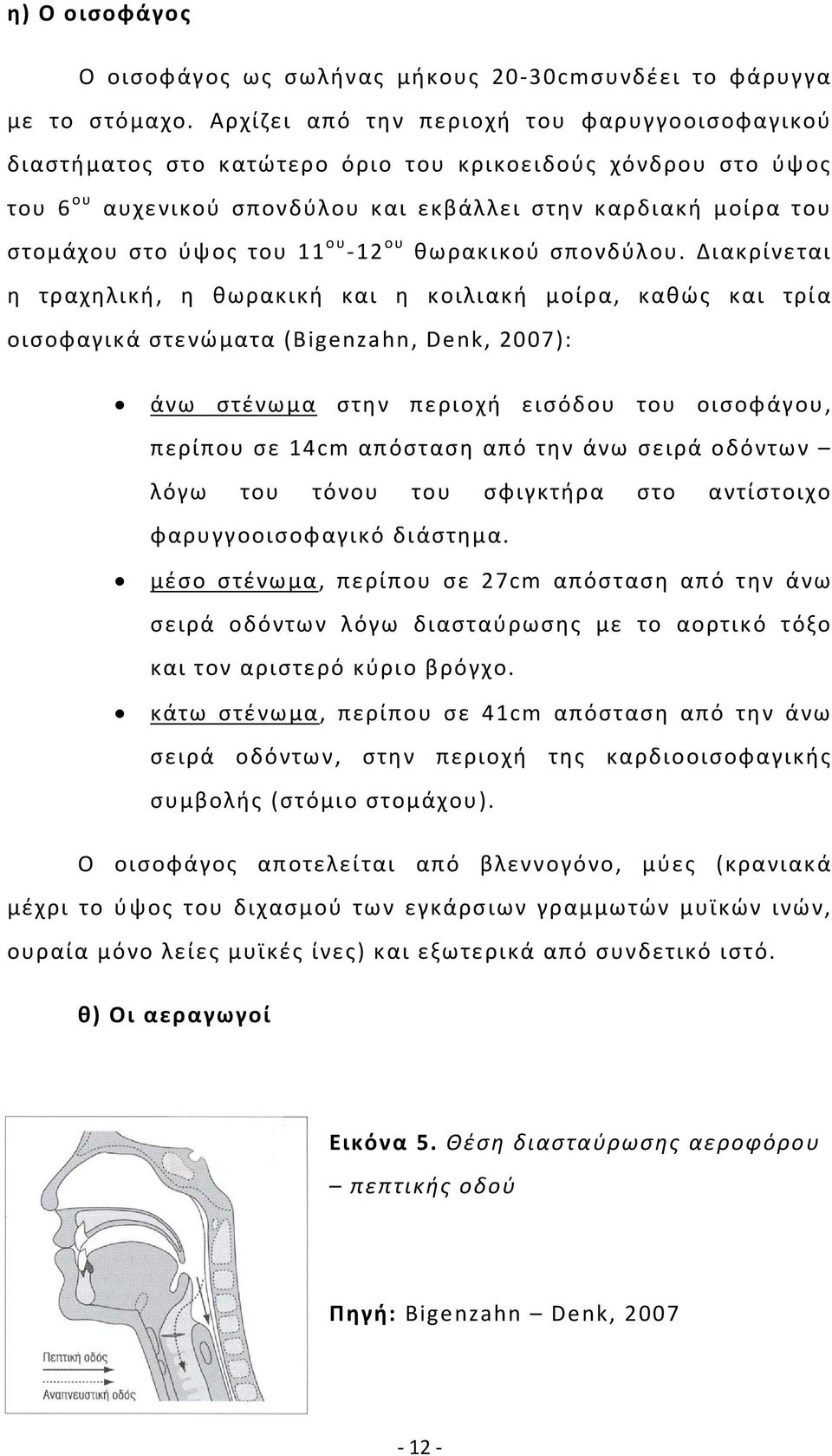 11 ου -12 ου θωρακικού σπονδύλου.