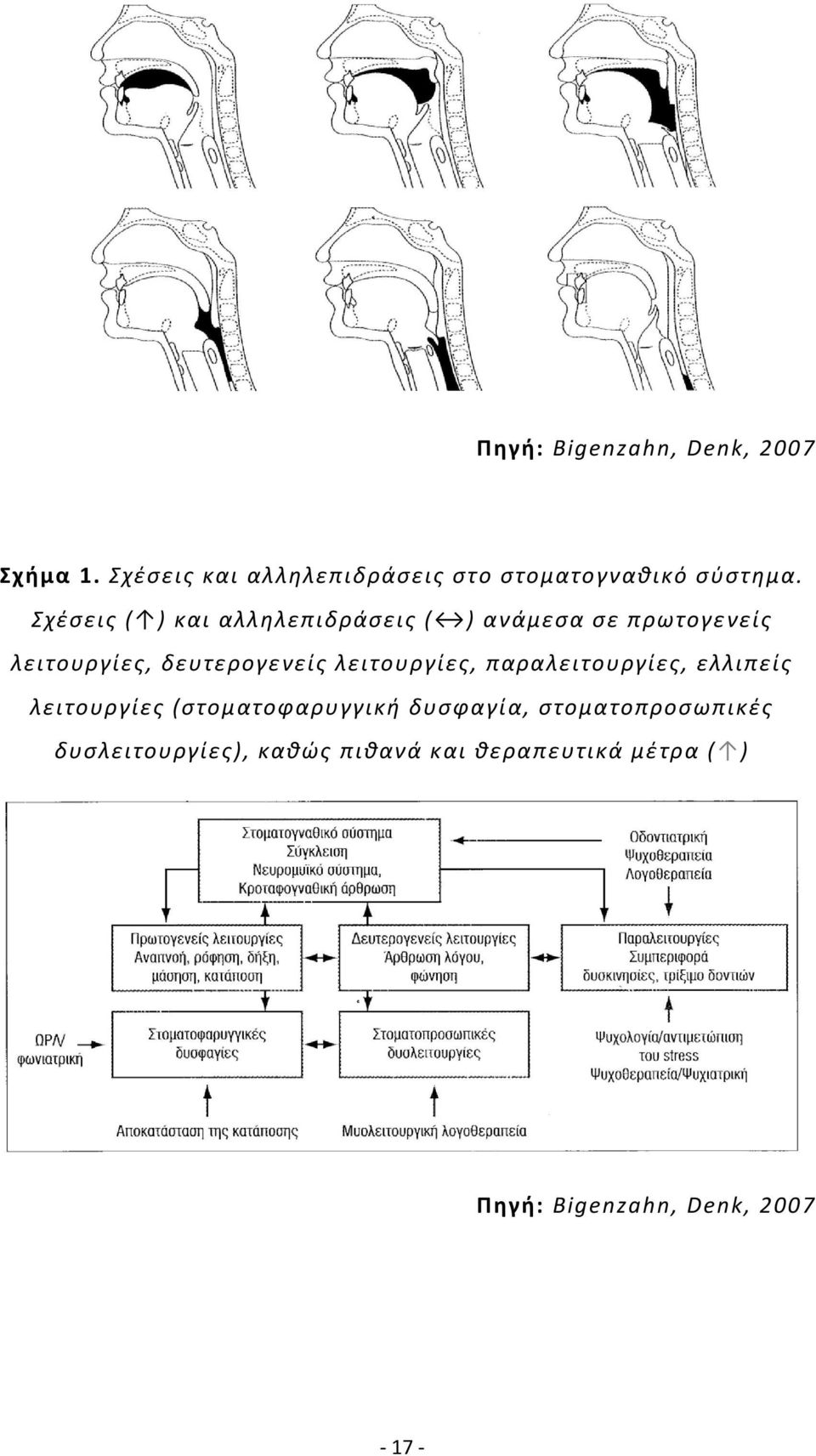 Σχέσεις ( ) και αλληλεπιδράσεις ( ) ανάμεσα σε πρωτογενείς λειτουργίες, δευτερογενείς