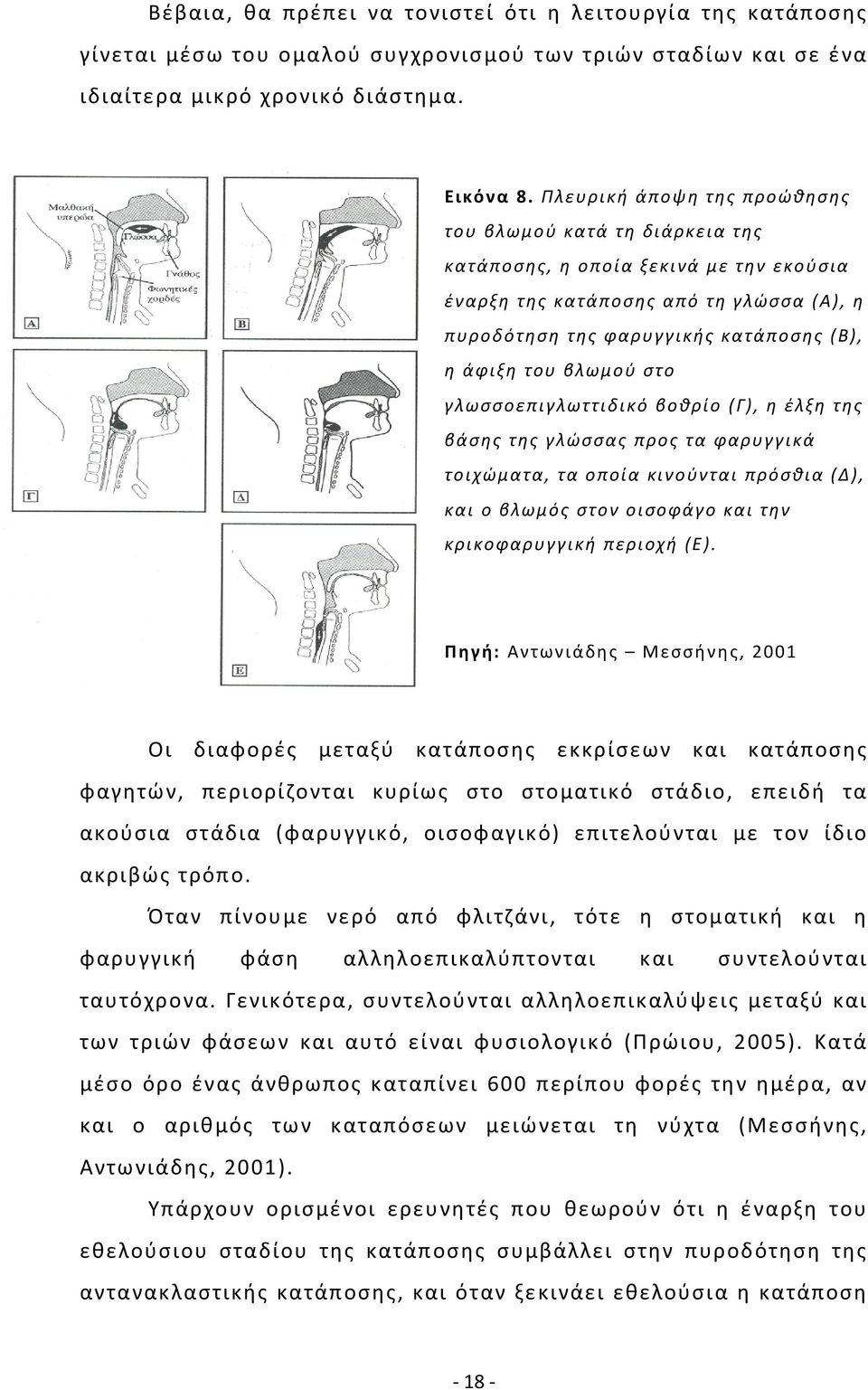 βλωμού στο γλωσσοεπιγλωττιδικό βοθρίο (Γ), η έλξη της βάσης της γλώσσας προς τα φαρυγγικά τοιχώματα, τα οποία κινούνται πρόσθια (Δ), και ο βλωμός στον οισοφάγο και την κρικοφαρυγγική περιοχή (Ε).