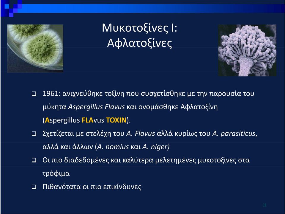 Σχετίζεται με στελέχη του A. Flavus αλλά κυρίως του A. parasiticus, αλλά και άλλων (A.