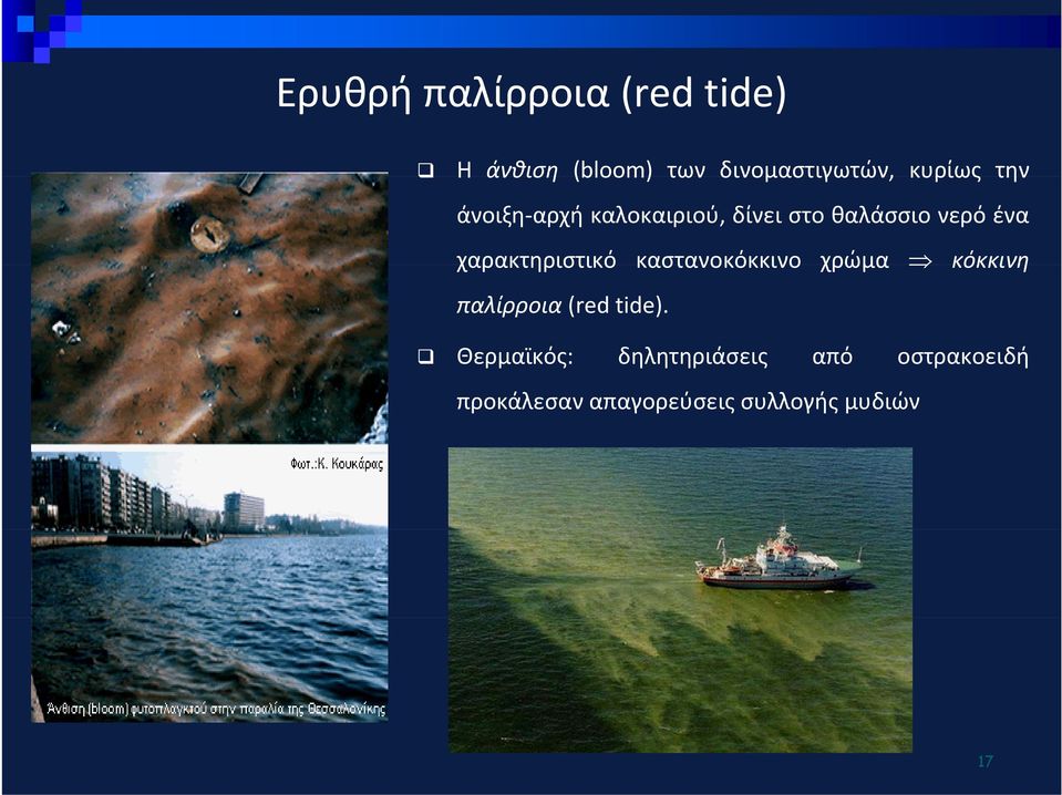 χαρακτηριστικό καστανοκόκκινο χρώμα κόκκινη παλίρροια (red tide).