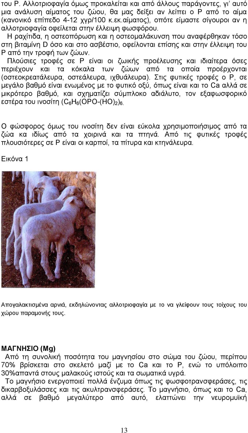 Η ραχίτιδα, η οστεοπόρωση και η οστεομαλάκυνση που αναφέρθηκαν τόσο στη βιταμίνη D όσο και στο ασβέστιο, οφείλονται επίσης και στην έλλειψη του Ρ από την τροφή των ζώων.