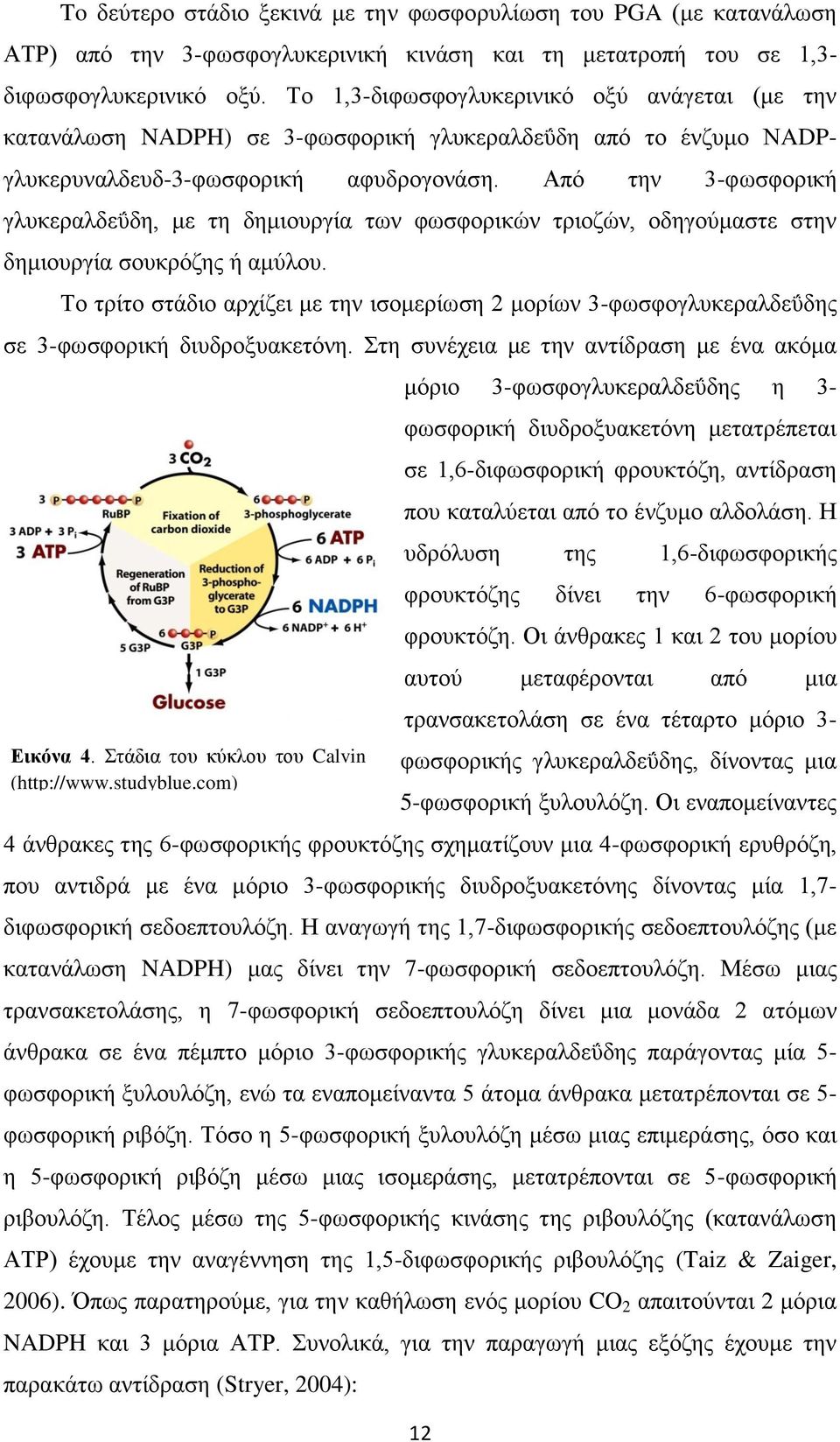 Από την 3-φωσφορική γλυκεραλδεΰδη, με τη δημιουργία των φωσφορικών τριοζών, οδηγούμαστε στην δημιουργία σουκρόζης ή αμύλου.