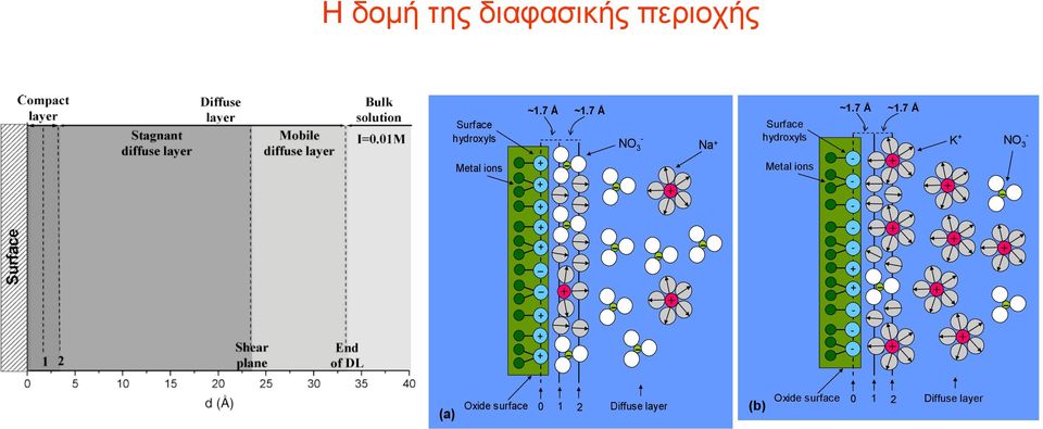 7 Å + + + - NO 3 Na + Surface hydroxyls K + - NO 3 Metal ions