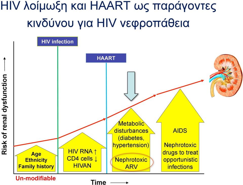 RNA CD4 cells HIVAN Metabolic disturbances (diabetes, hypertension)