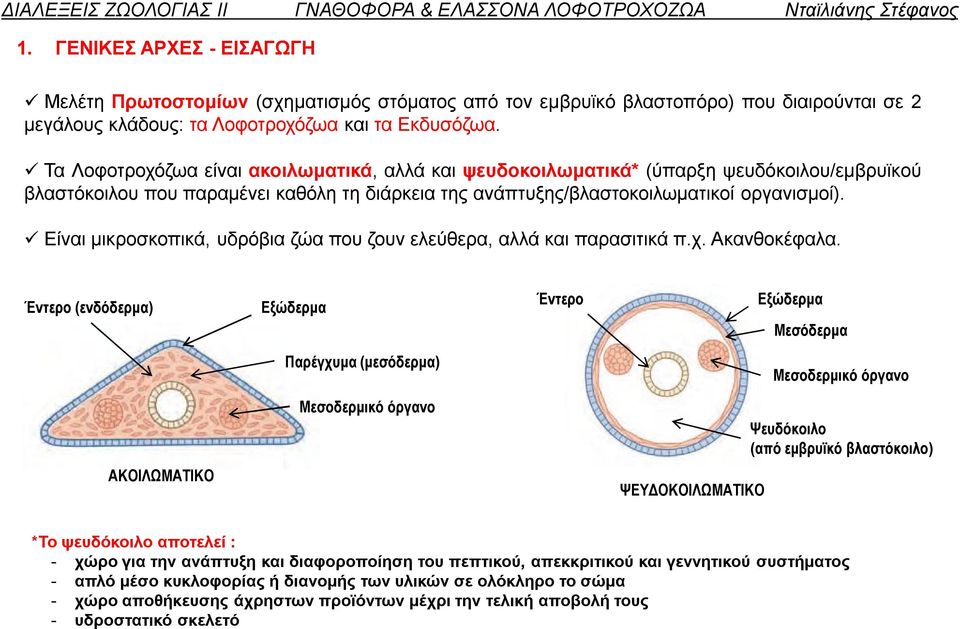 Είναι μικροσκοπικά, υδρόβια ζώα που ζουν ελεύθερα, αλλά και παρασιτικά π.χ. Ακανθοκέφαλα.