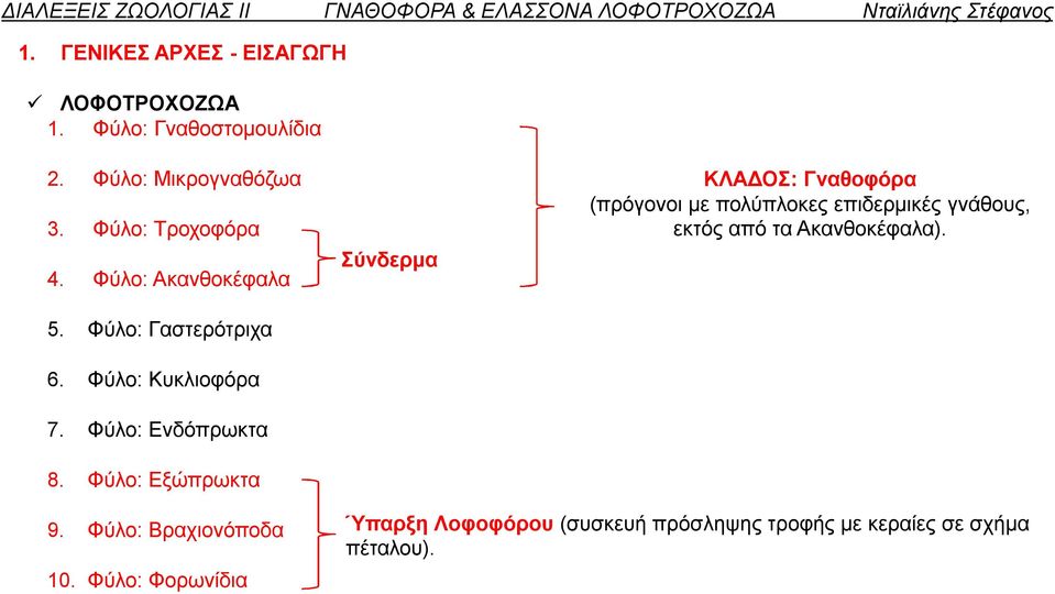 Φύλο: Εξώπρωκτα Σύνδερμα ΚΛΑΔΟΣ: Γναθοφόρα (πρόγονοι με πολύπλοκες επιδερμικές γνάθους, εκτός από τα