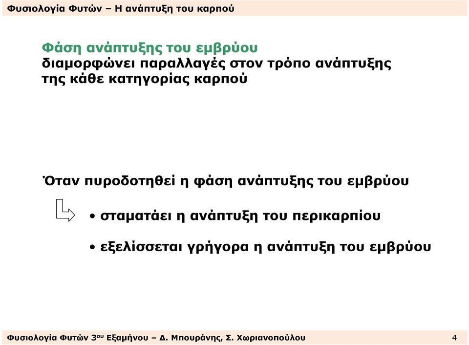 εµβρύου σταµατάει η ανάπτυξη του περικαρπίου εξελίσσεται γρήγορα η