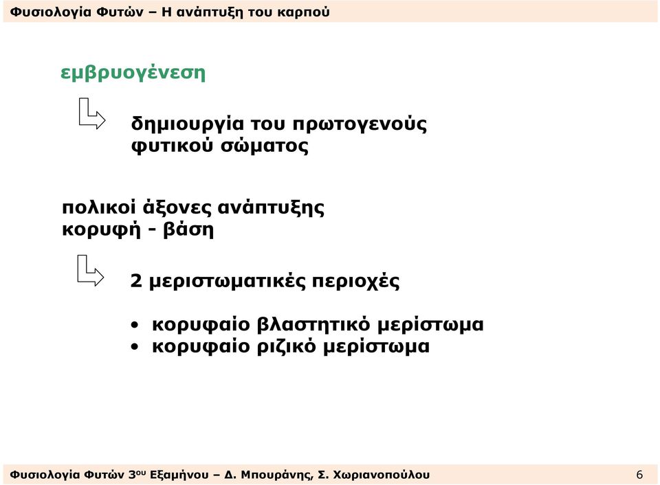 περιοχές κορυφαίο βλαστητικό µερίστωµα κορυφαίο ριζικό