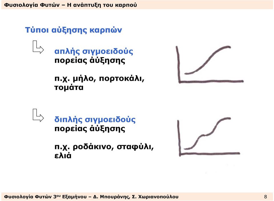 µήλο, πορτοκάλι, τοµάτα διπλής σιγµοειδούς πορείας 