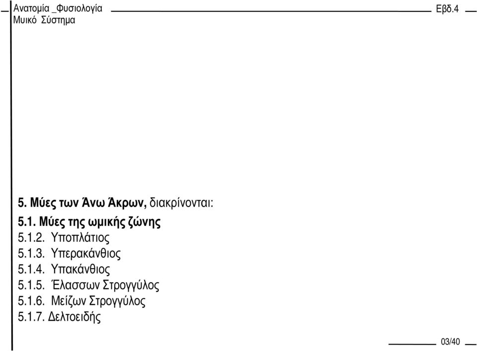 Υπερακάνθιος 5.1.4. Υπακάνθιος 5.1.5. Έλασσων Στρογγύλος 5.