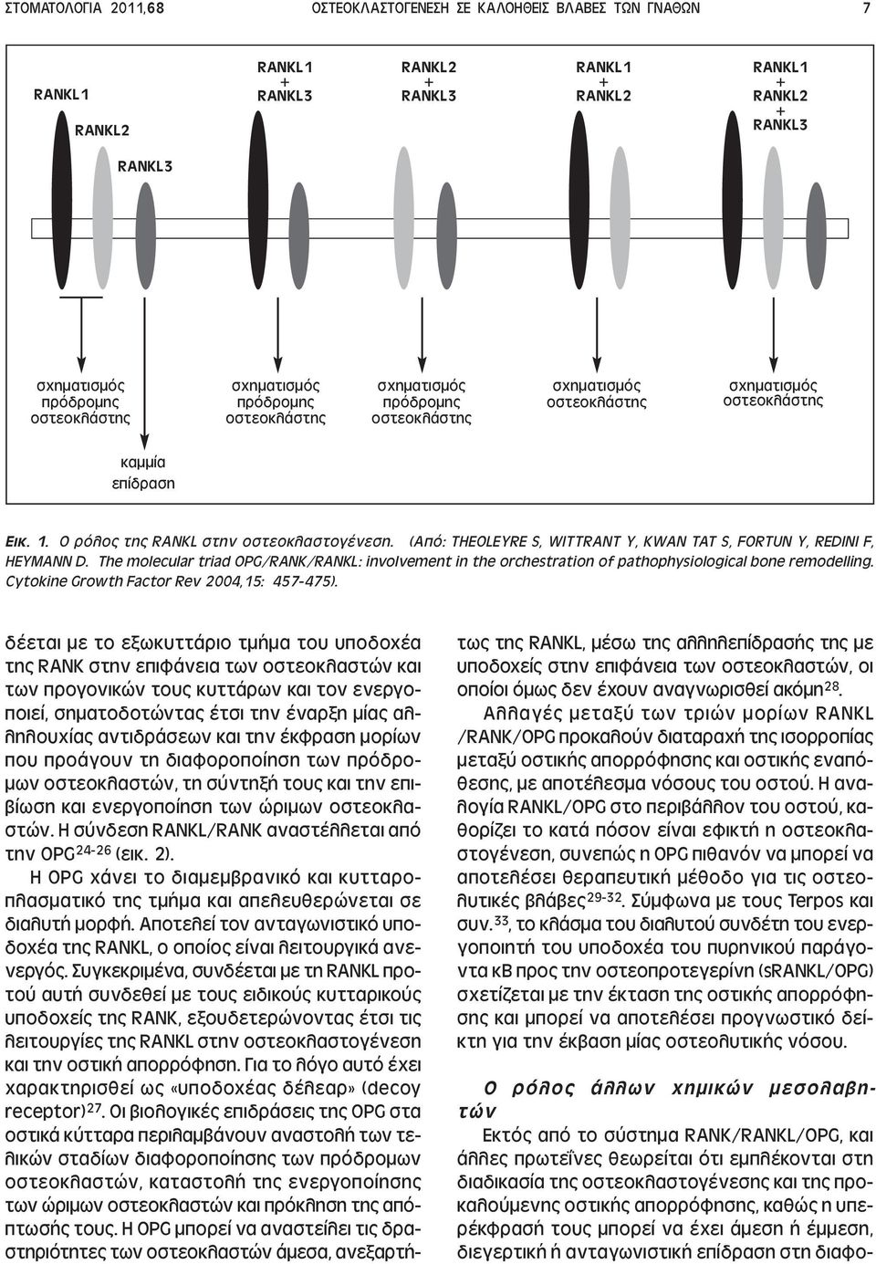 (Από: THEOLEYRE S, WITTRANT Y, KWAN TAT S, FORTUN Y, REDINI F, HEYMANN D. The molecular triad OPG/RANK/RANKL: involvement in the orchestration of pathophysiological bone remodelling.