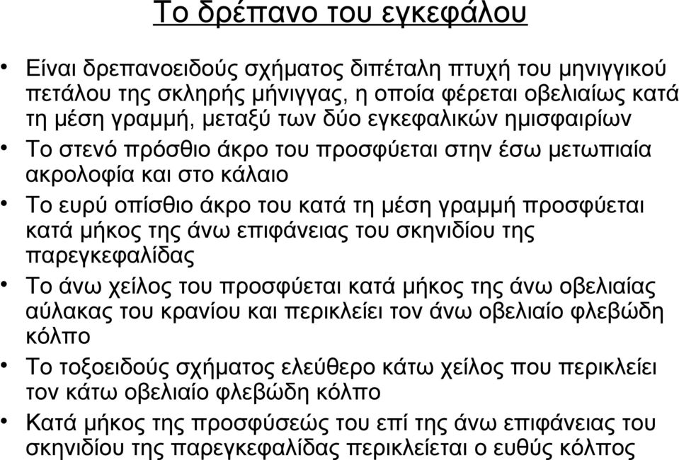 επιφάνειας του σκηνιδίου της παρεγκεφαλίδας Το άνω χείλος του προσφύεται κατά μήκος της άνω οβελιαίας αύλακας του κρανίου και περικλείει τον άνω οβελιαίο φλεβώδη κόλπο Το τοξοειδούς