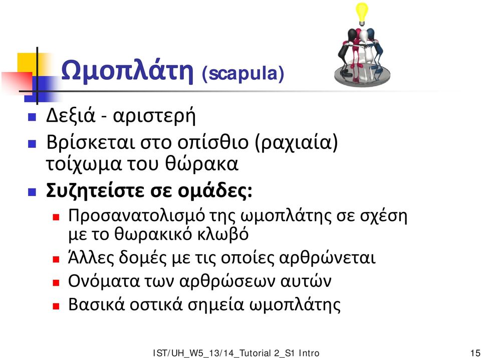 το θωρακικό κλωβό Άλλες δομές με τις οποίες αρθρώνεται Ονόματα των