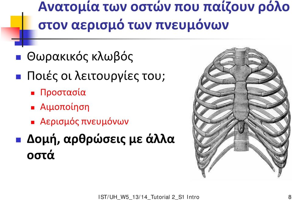 Προστασία Αιμοποίηση Αερισμός πνευμόνων Δομή,