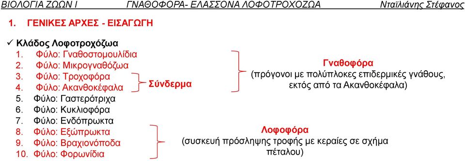 Φύλο: Κυκλιοφόρα 7. Φύλο: Ενδόπρωκτα 8. Φύλο: Εξώπρωκτα 9. Φύλο: Βραχιονόποδα 10.