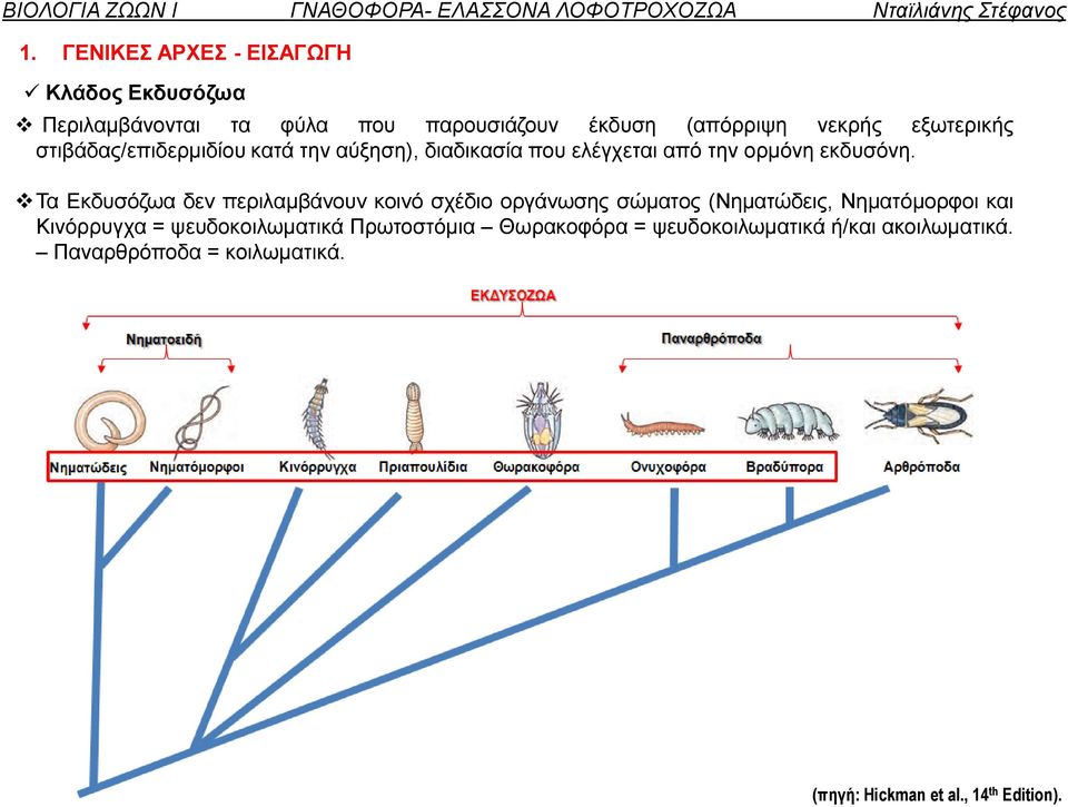 στιβάδας/επιδερμιδίου κατά την αύξηση), διαδικασία που ελέγχεται από την ορμόνη εκδυσόνη.