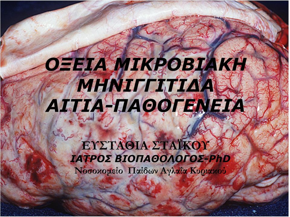 ΣΤΑΪΚΟΥ ΙΑΤΡΟΣ