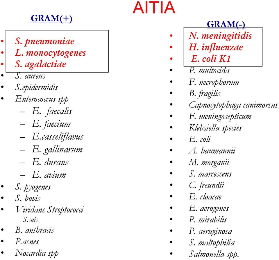 meningitidis H. influenzae E. coli K1 P. multocida F. necrophorum B. fragilis Capnocytophaga canimorsus F.