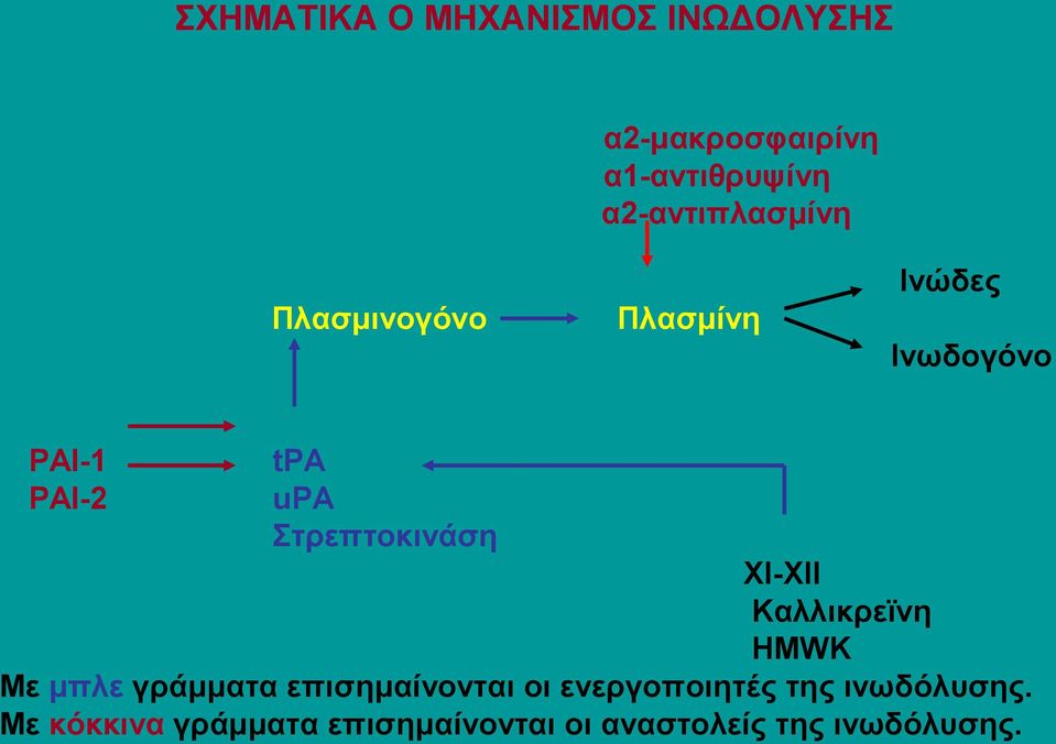 Στρεπτοκινάση XI-ΧΙΙ Καλλικρεϊνη HMWK Με μπλε γράμματα επισημαίνονται οι