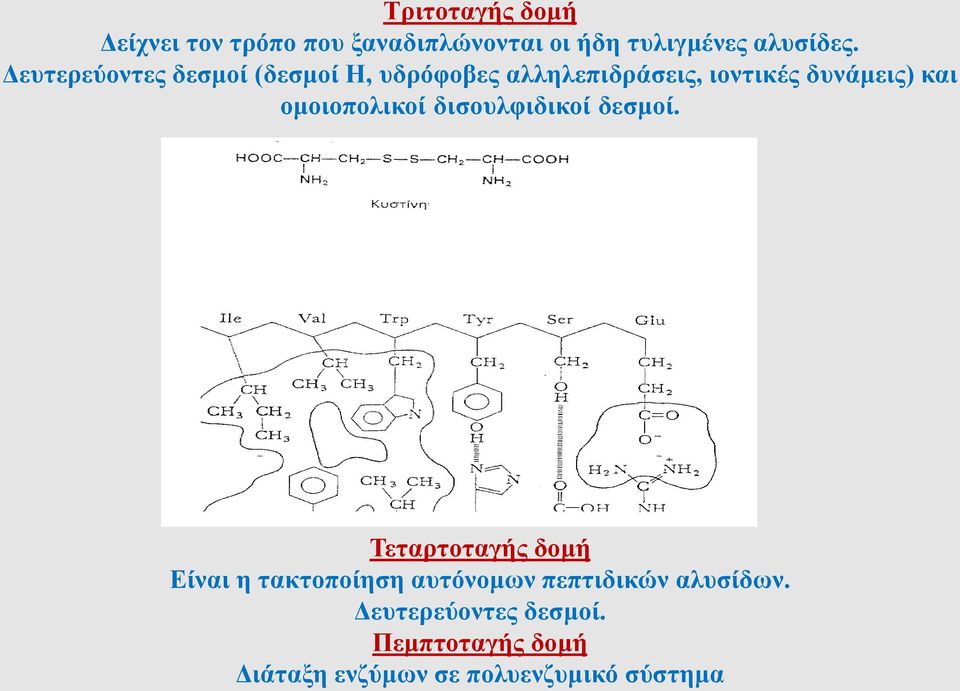 ομοιοπολικοί δισουλφιδικοί δεσμοί.