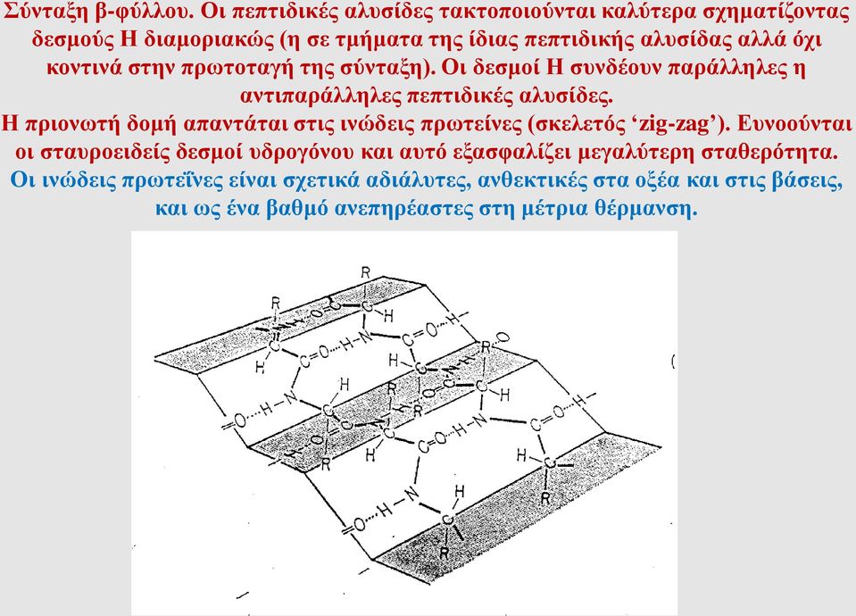 κοντινά στην πρωτοταγή της σύνταξη). Οι δεσμοί Η συνδέουν παράλληλες η αντιπαράλληλες πεπτιδικές αλυσίδες.