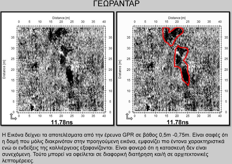 χαρακτηριστικά ενώ οι ενδείξεις της καλλιέργειας εξαφανίζονται.