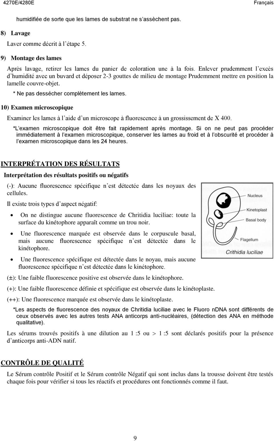 Enlever prudemment l excès d humidité avec un buvard et déposer 2-3 gouttes de milieu de montage Prudemment mettre en position la lamelle couvre-objet. * Ne pas dessécher complètement les lames.