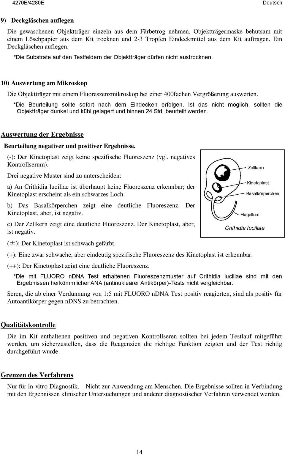 *Die Substrate auf den Testfeldern der Objektträger dürfen nicht austrocknen. 10) Auswertung am Mikroskop Die Objektträger mit einem Fluoreszenzmikroskop bei einer 400fachen Vergrößerung auswerten.