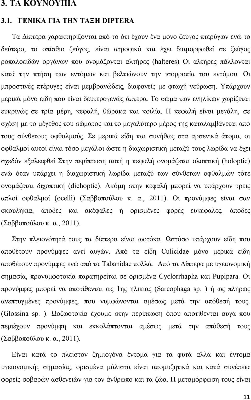 που ονομάζονται αλτήρες (halteres) Οι αλτήρες πάλλονται κατά την πτήση των εντόμων και βελτιώνουν την ισορροπία του εντόμου. Οι μπροστινές πτέρυγες είναι μεμβρανώδεις, διαφανείς με φτωχή νεύρωση.
