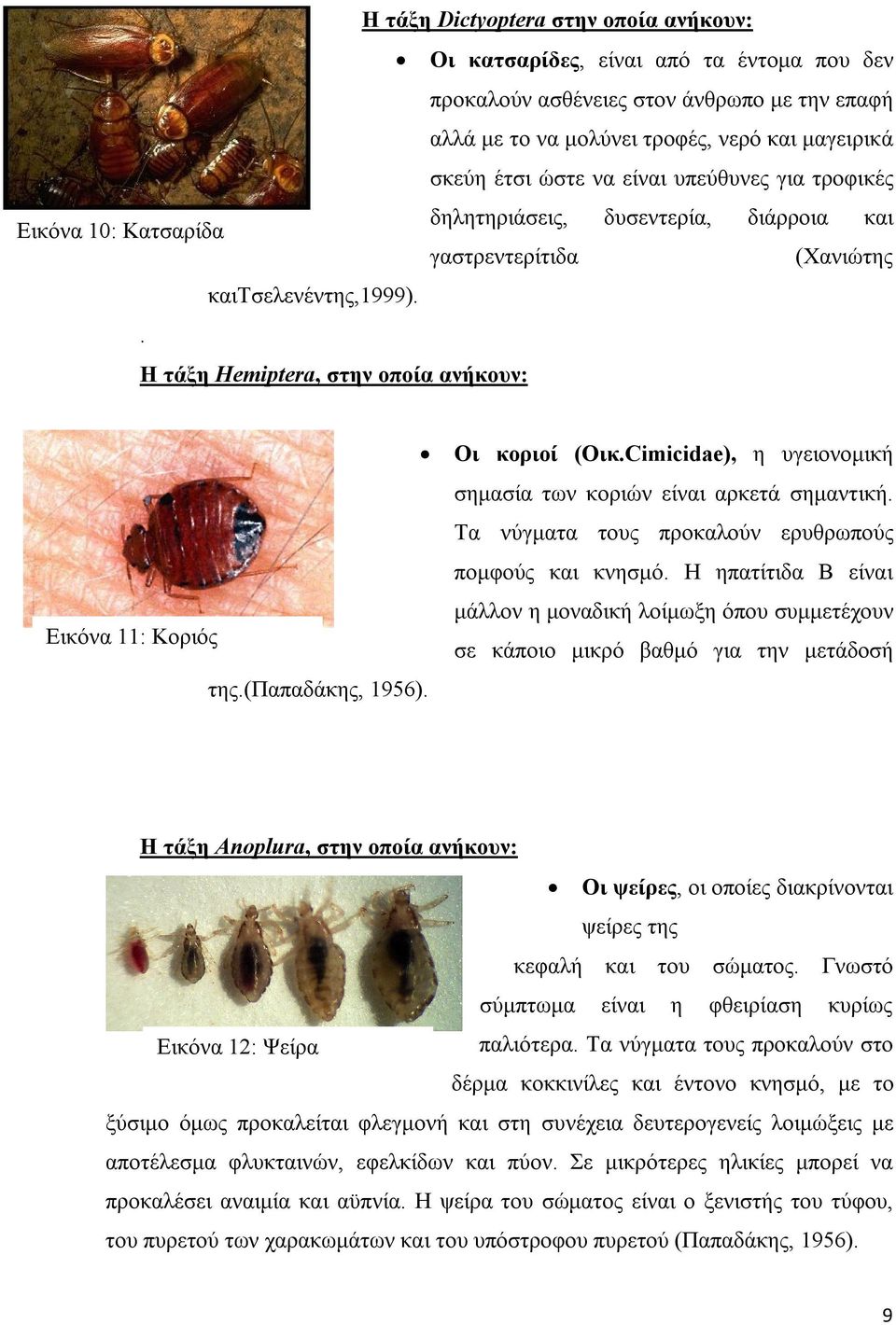 (παπαδάκης, 1956). Οι κοριοί (Οικ.Cimicidae), η υγειονομική σημασία των κοριών είναι αρκετά σημαντική. Τα νύγματα τους προκαλούν ερυθρωπούς πομφούς και κνησμό.
