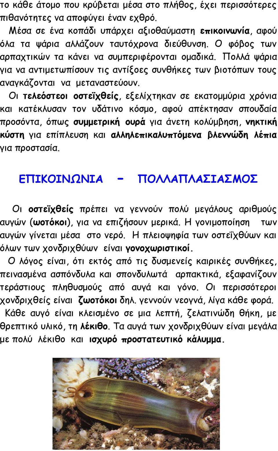 Οι τελεόστεοι οστεϊχθείς, εξελίχτηκαν σε εκατομμύρια χρόνια και κατέκλυσαν τον υδάτινο κόσμο, αφού απέκτησαν σπουδαία προσόντα, όπως συμμετρική ουρά για άνετη κολύμβηση, νηκτική κύστη για επίπλευση