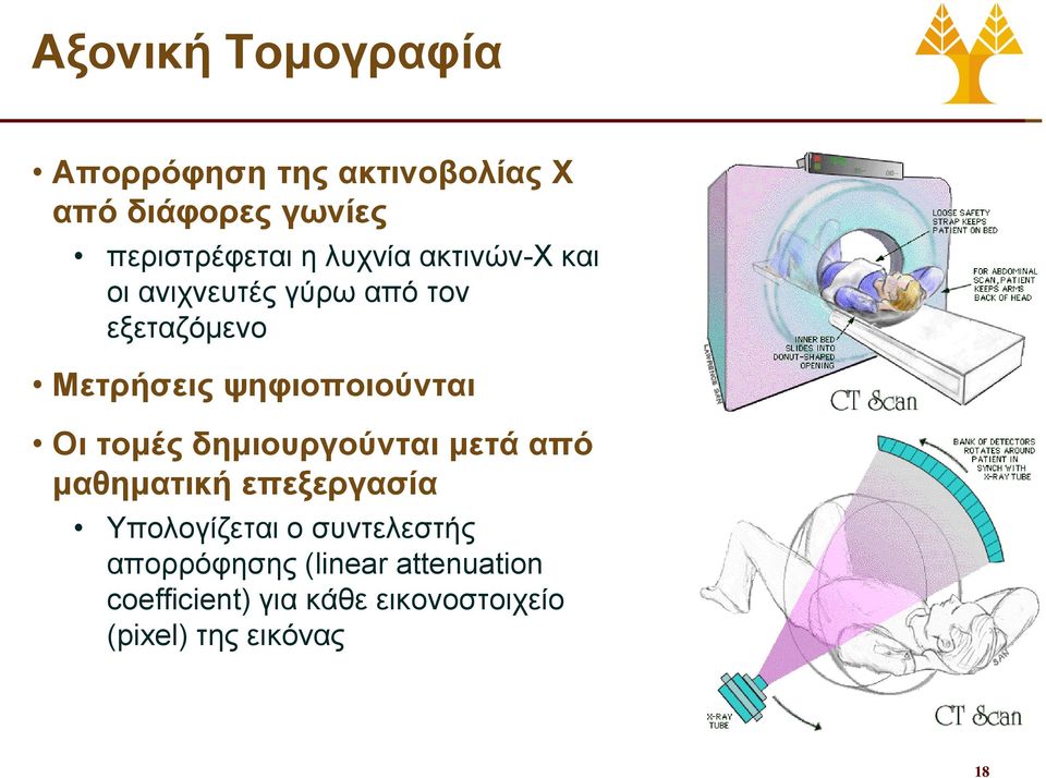 Οι τομές δημιουργούνται μετά από μαθηματική επεξεργασία Υπολογίζεται ο συντελεστής