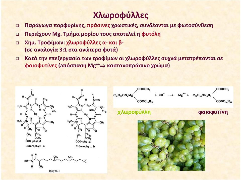 Τροφίμων: χλωροφύλλες α και β (σε αναλογία 3:1 στα ανώτερα φυτά) Κατά την επεξεργασία