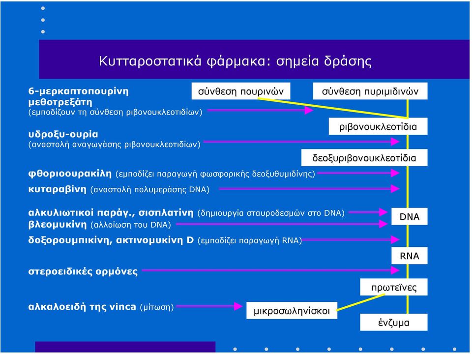 σύνθεση πυριµιδινών ριβονουκλεοτίδια δεοξυριβονουκλεοτίδια αλκυλιωτικοί παράγ.