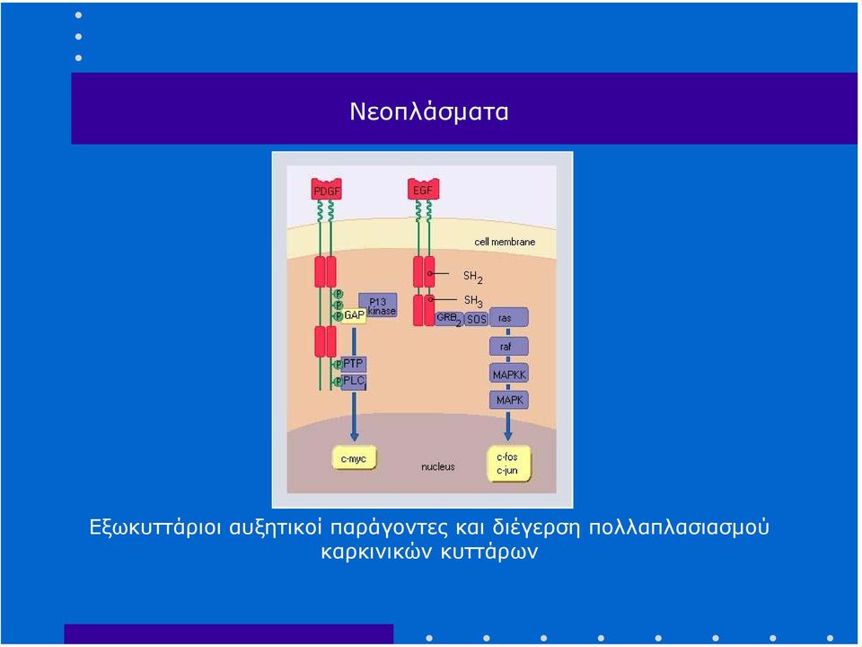 παράγοντες και διέγερση