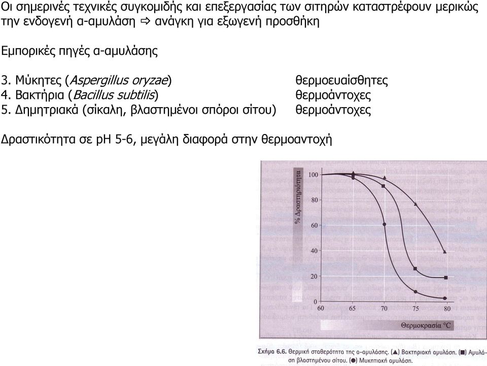 Μύκητες (Aspergillus oryzae) θερμοευαίσθητες 4. Βακτήρια (Bacillus subtilis) θερμοάντοχες 5.