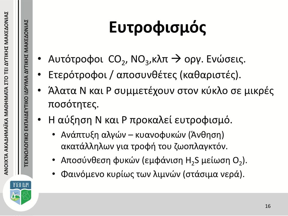 Άλατα Ν και Ρ συμμετέχουν στον κύκλο σε μικρές ποσότητες.