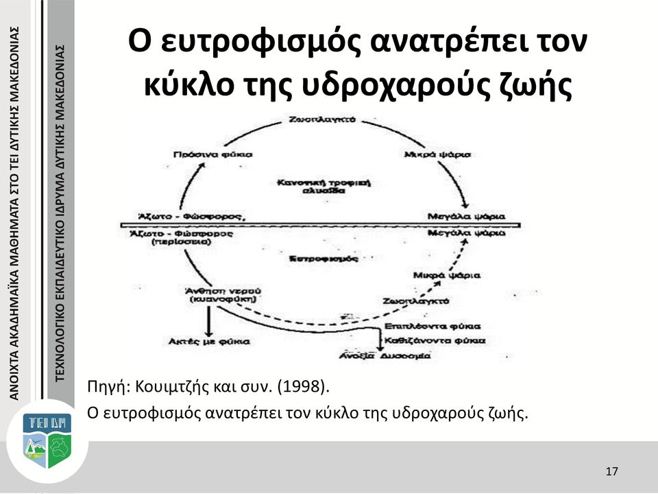 και συν. (1998).