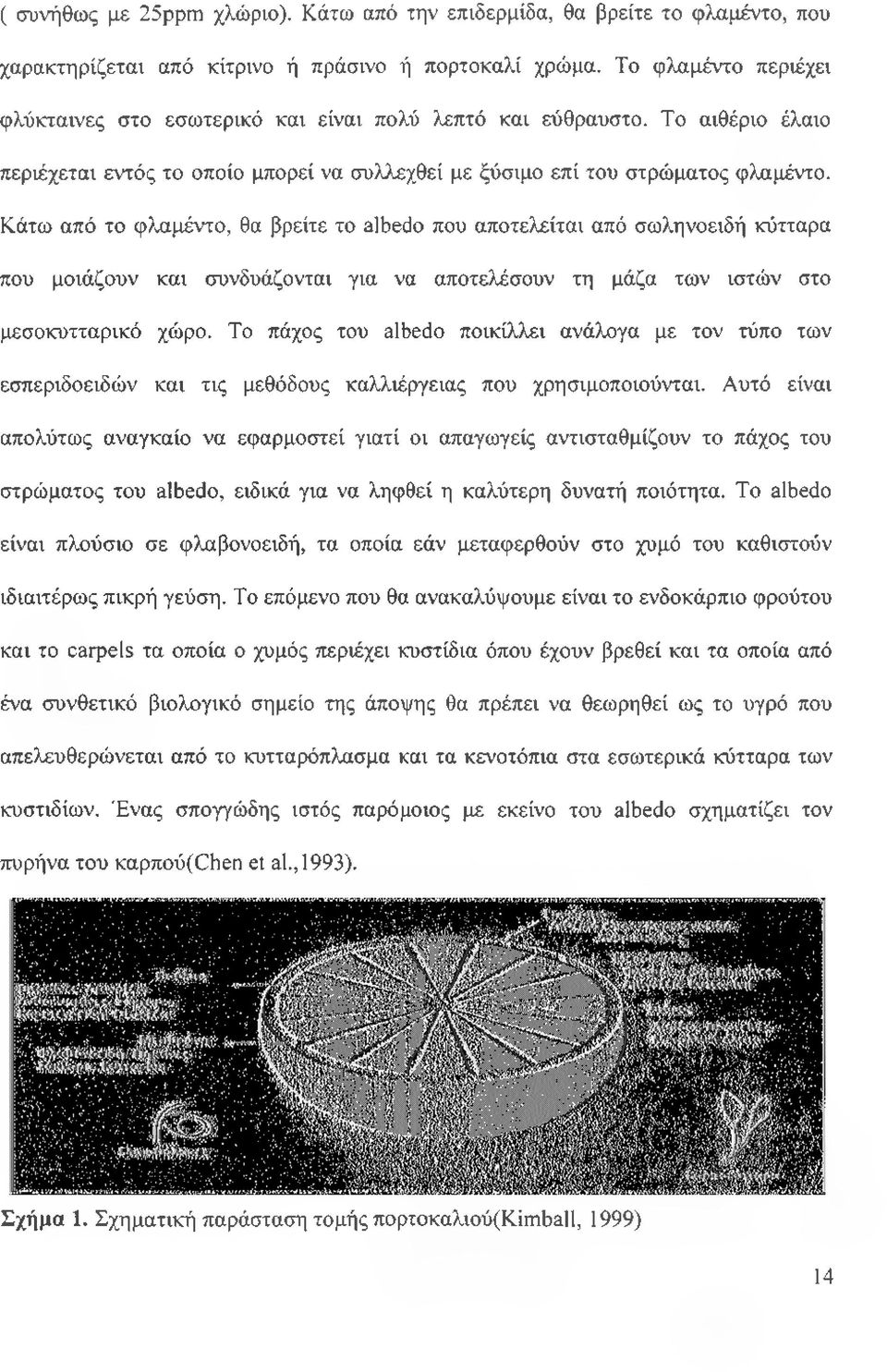 Κάτω από το φλαμέντο, θα βρείτε το albedo που αποτελείται από σωληνοειδή κύτταρα που μοιάζουν και συνδυάζονται για να αποτελόσουν τη μάζα των ιστών στο μεσοκυτταρικό χώρο.