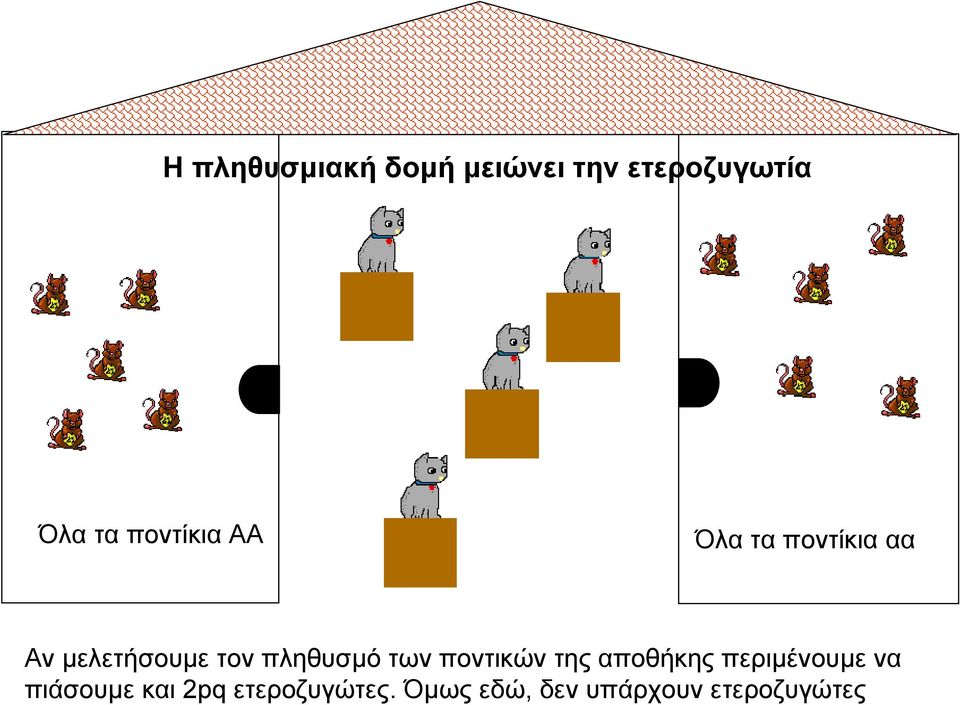 πληθυσµό των ποντικών της αποθήκης περιµένουµε να