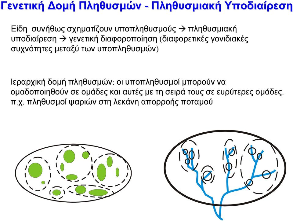 των υποπληθυσµών) Ιεραρχική δοµή πληθυσµών: οι υποπληθυσµοί µπορούν να οµαδοποιηθούν σε