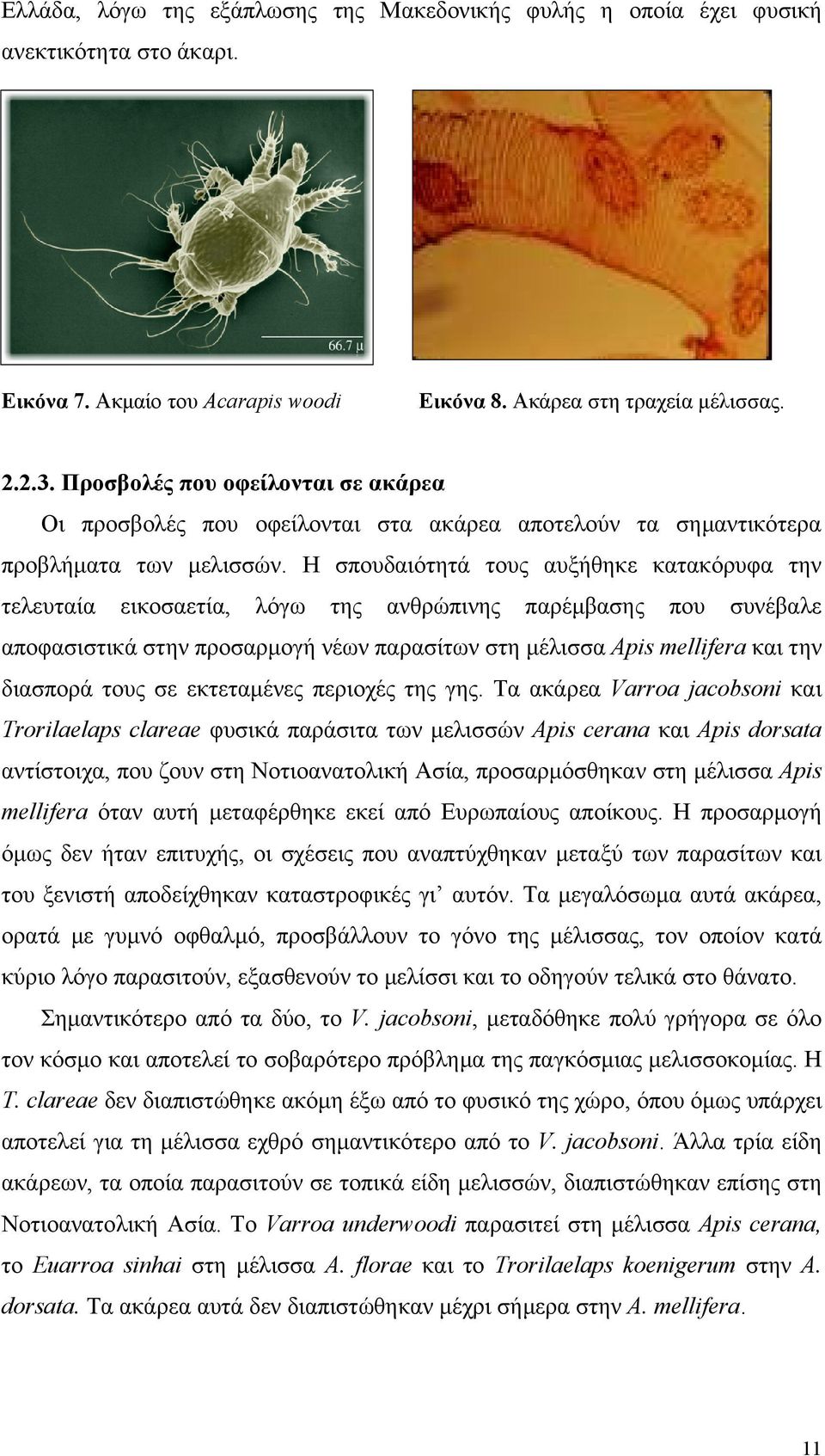 Η σπουδαιότητά τους αυξήθηκε κατακόρυφα την τελευταία εικοσαετία, λόγω της ανθρώπινης παρέµβασης που συνέβαλε αποφασιστικά στην προσαρµογή νέων παρασίτων στη µέλισσα Apis mellifera και την διασπορά