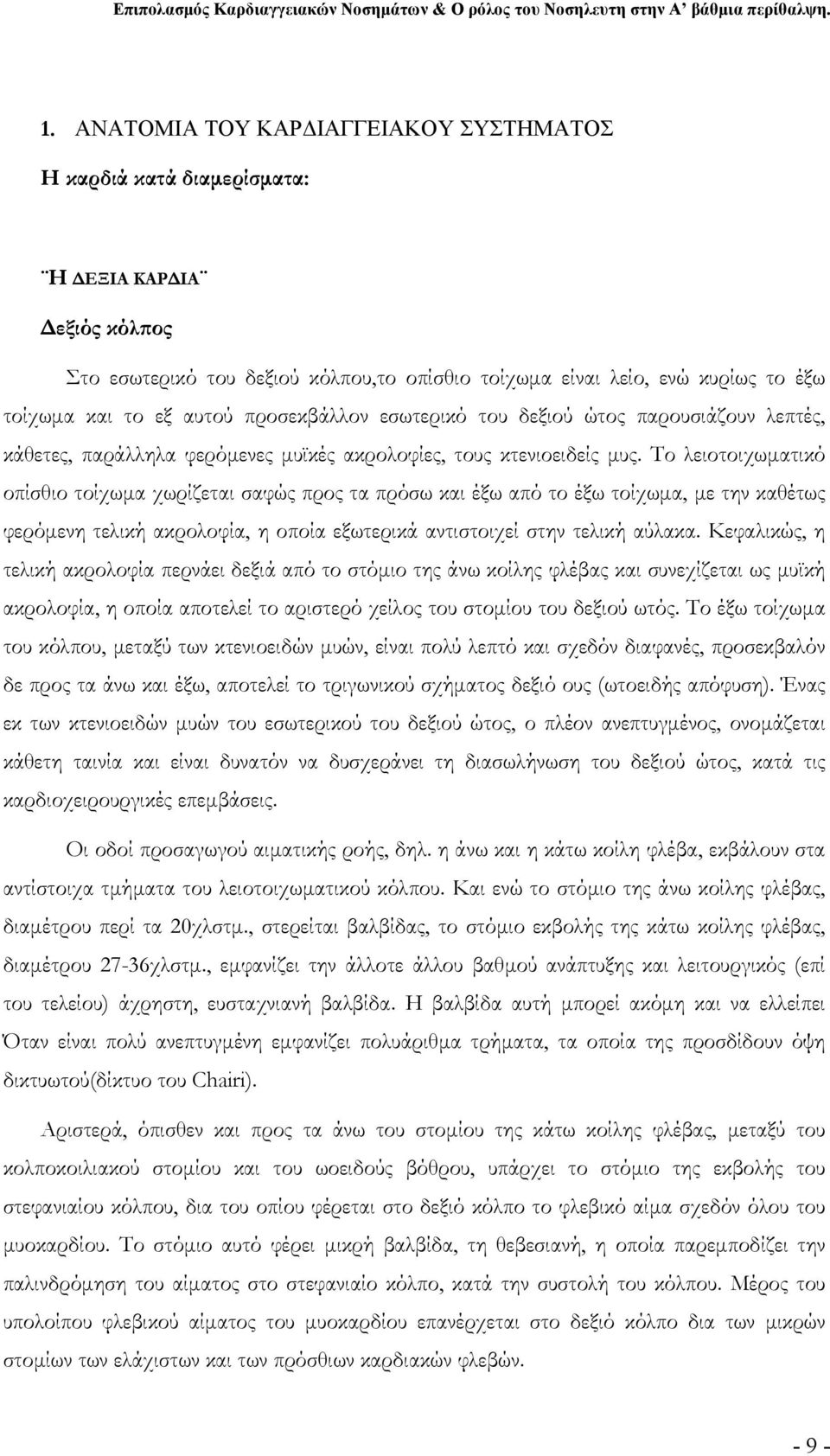 Το λειοτοιχωματικό οπίσθιο τοίχωμα χωρίζεται σαφώς προς τα πρόσω και έξω από το έξω τοίχωμα, με την καθέτως φερόμενη τελική ακρολοφία, η οποία εξωτερικά αντιστοιχεί στην τελική αύλακα.