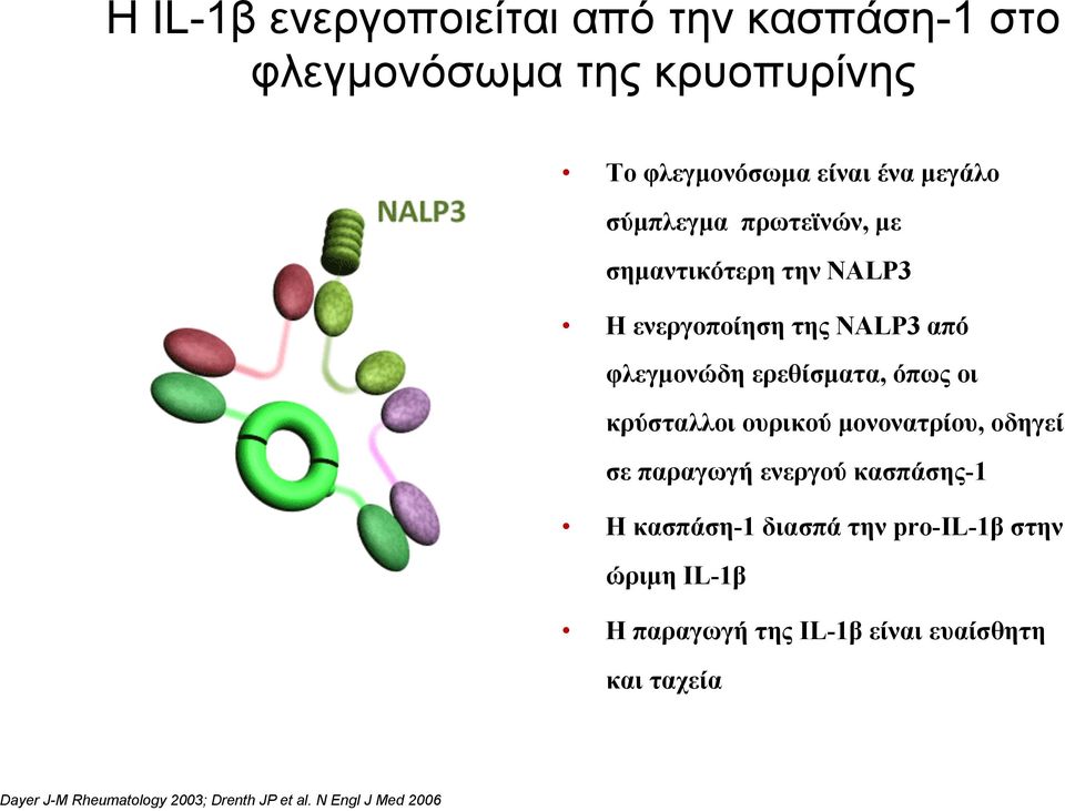 κρύσταλλοι ουρικού µονονατρίου, οδηγεί σε παραγωγή ενεργού κασπάσης-1 Η κασπάση-1 διασπά την pro-il-1β στην