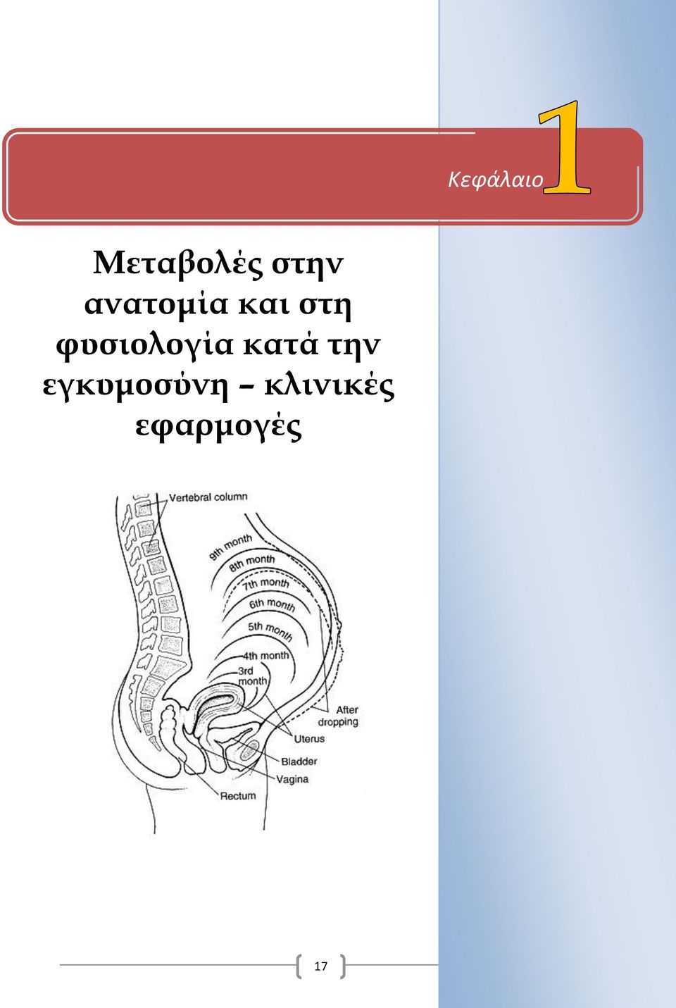 φυσιολογία κατά την