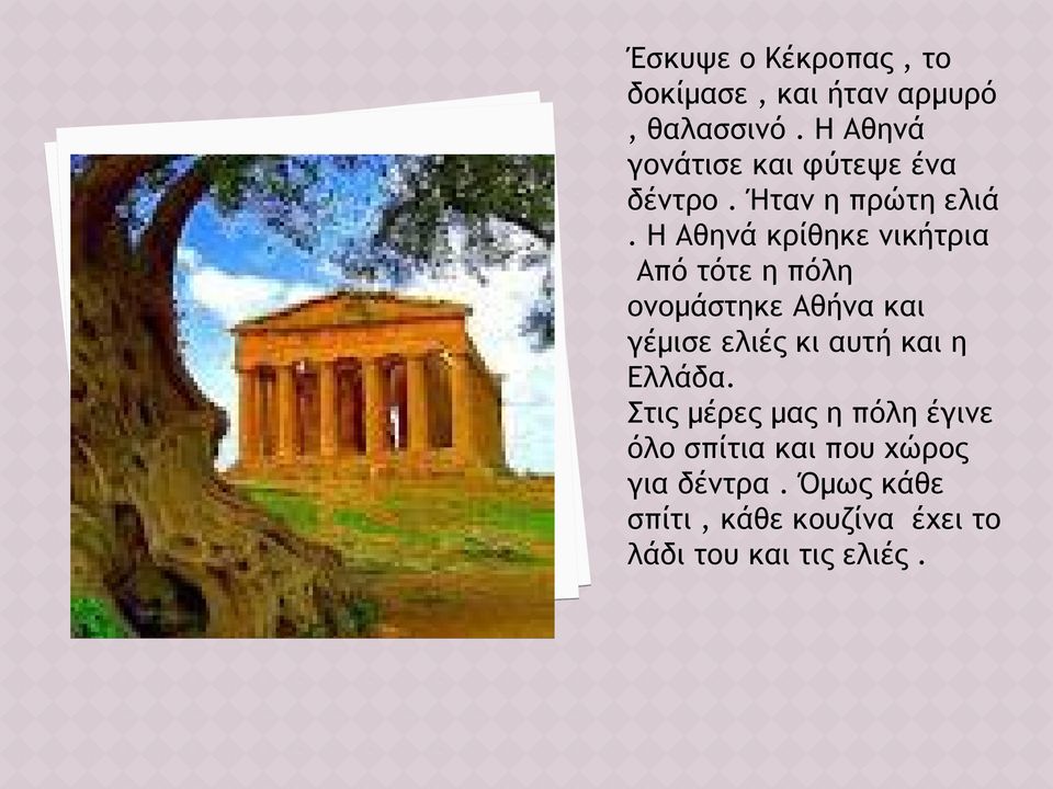Η Αθηνά κρίθηκε νικήτρια Από τότε η πόλη ονομάστηκε Αθήνα και γέμισε ελιές κι αυτή