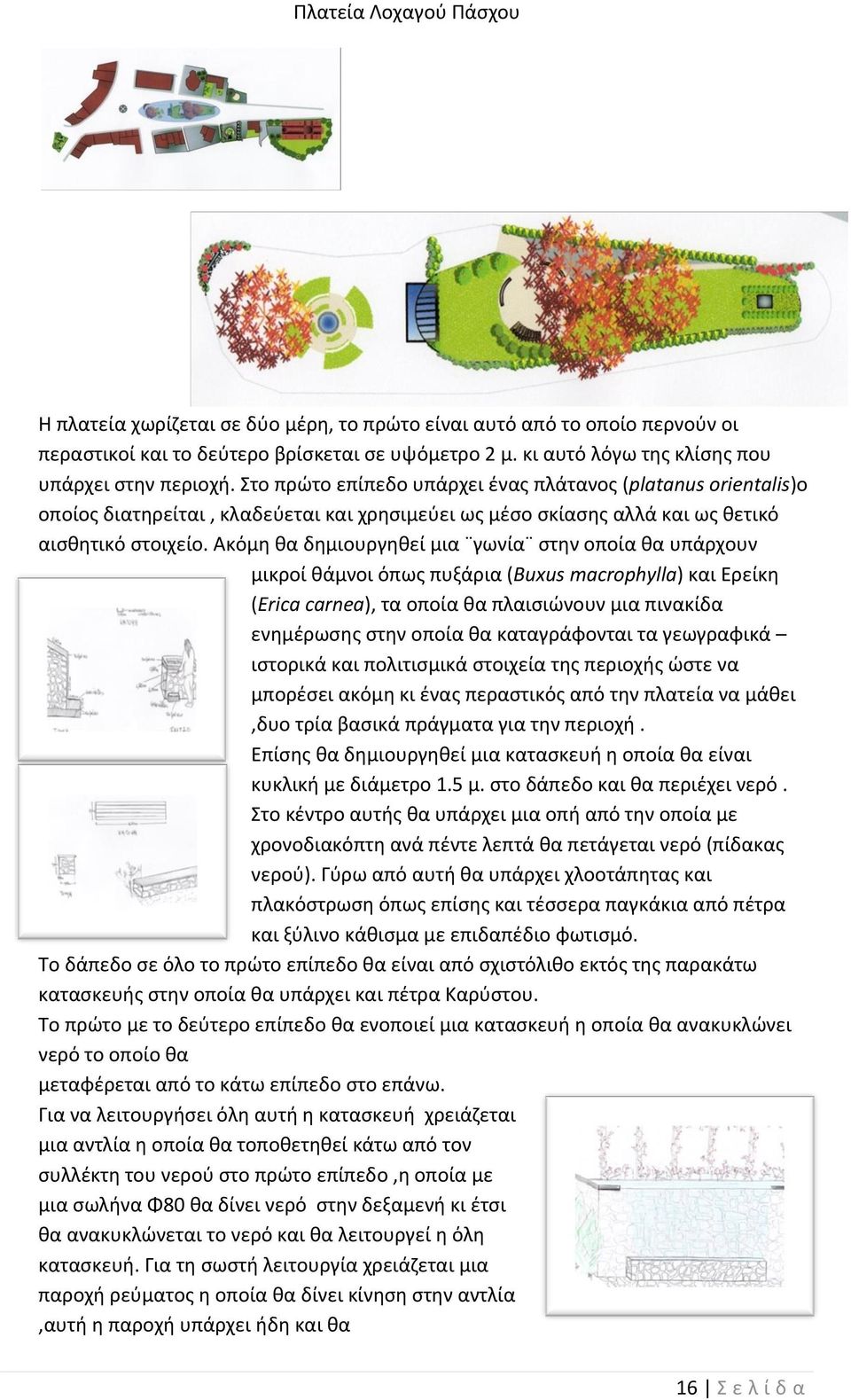 Στο πρώτο επίπεδο υπάρχει ένας πλάτανος (platanus orientalis)ο οποίος διατηρείται, κλαδεύεται και χρησιμεύει ως μέσο σκίασης αλλά και ως θετικό αισθητικό στοιχείο.